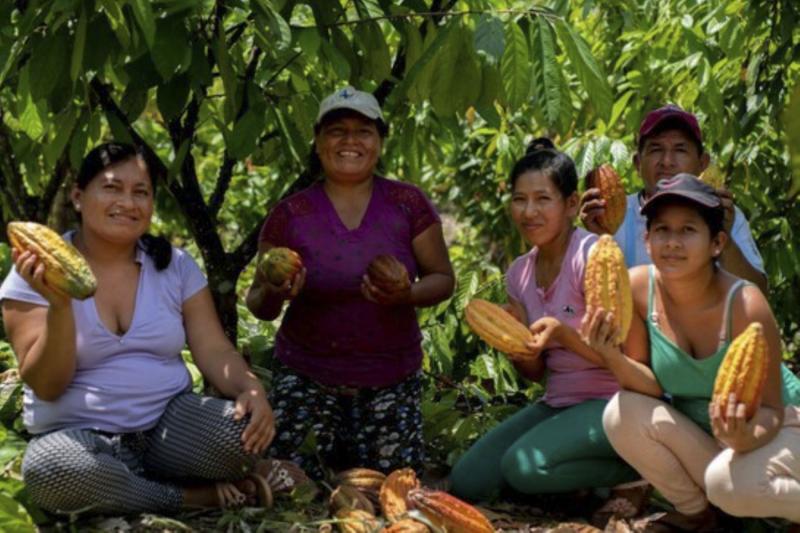 Bionegocios amazónicos podrán acceder a más de S/ 75 millones en créditos financieros