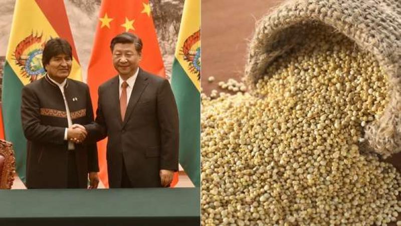 Bolivia envía sus primeras 40 toneladas de quinua a China a través del puerto peruano de Ilo