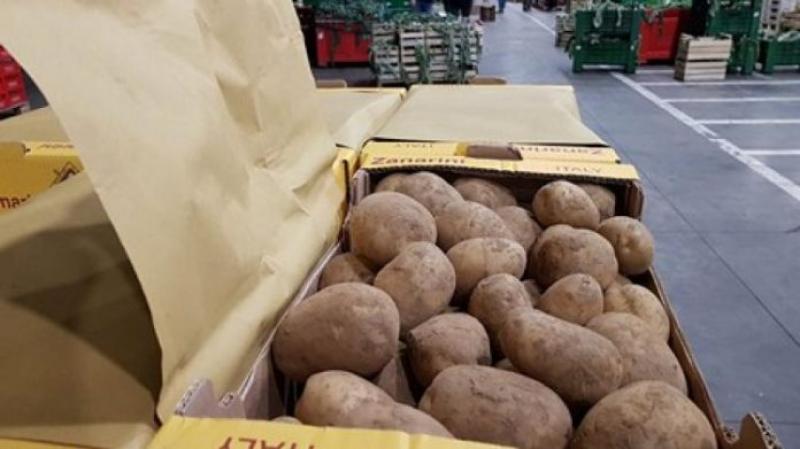 Brasil enfoca su producción de papas en el mercado interno