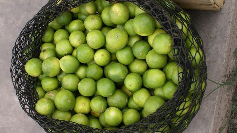 Brasil inunda Chile con su limón Tahití