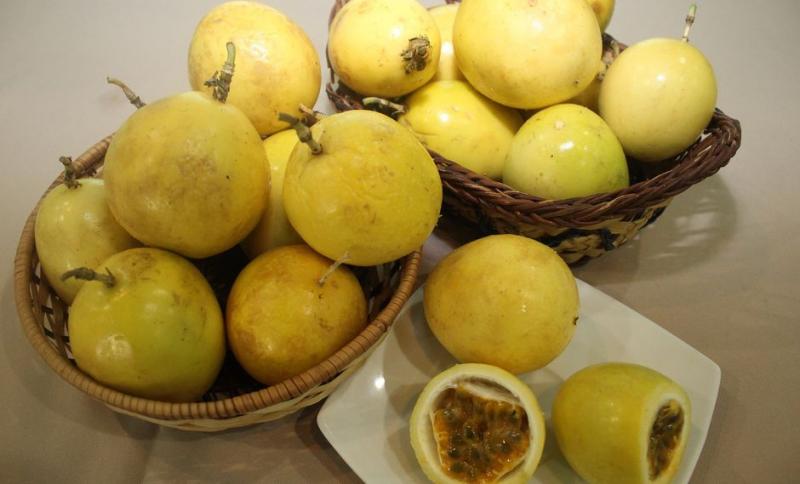 Buscan que Perú se mantenga como principal exportador mundial de maracuyá