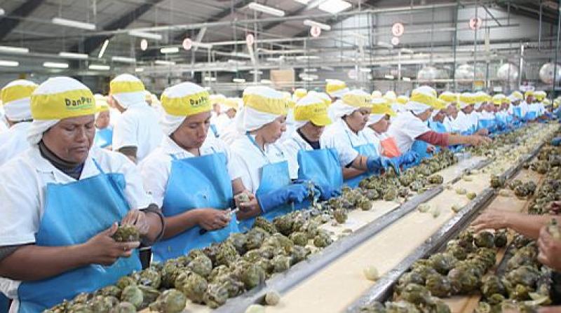 CADA VEZ MÁS REGIONES ACCEDEN A PLENO EMPLEO POR DINAMISMO AGROEXPORTADOR