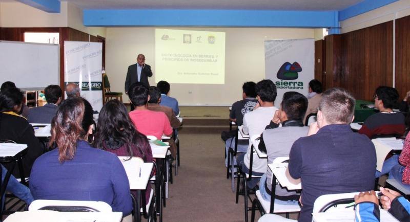 CAJAMARCA: IMPULSAN APLICACIÓN DE BIOTECNOLOGÍA Y BIOSEGURIDAD EN BERRIES