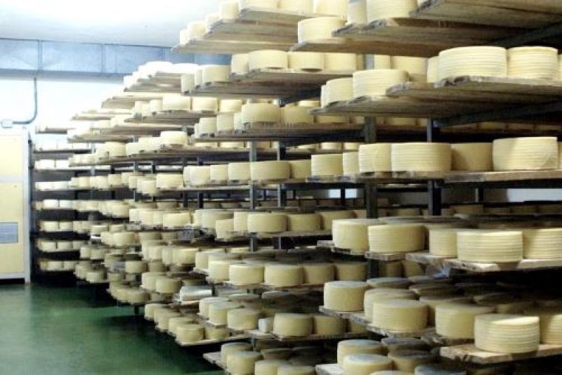 Cajamarca produce 1 millón de litros de leche al día