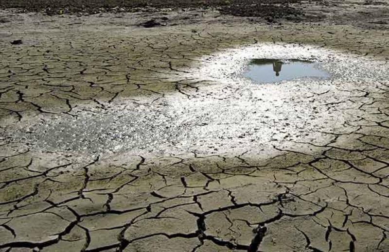 Cambio climático: estas son las 153 acciones peruanas de adaptación y mitigación