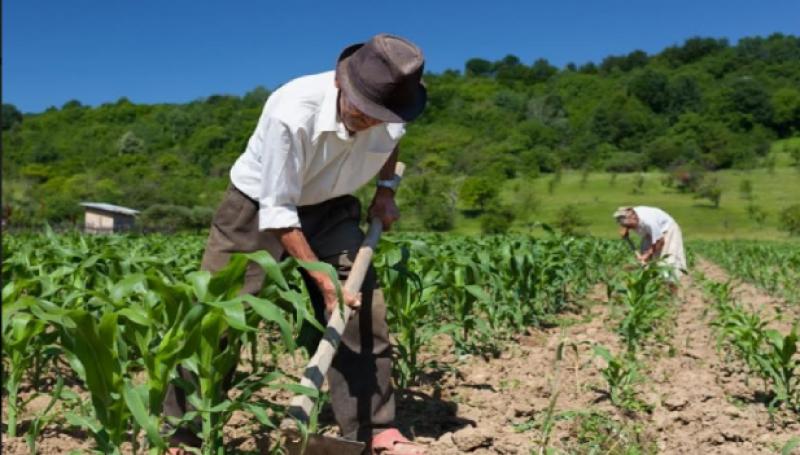 Cambio de titularidad de licencia de uso de agua con fines agrarios será gratuito