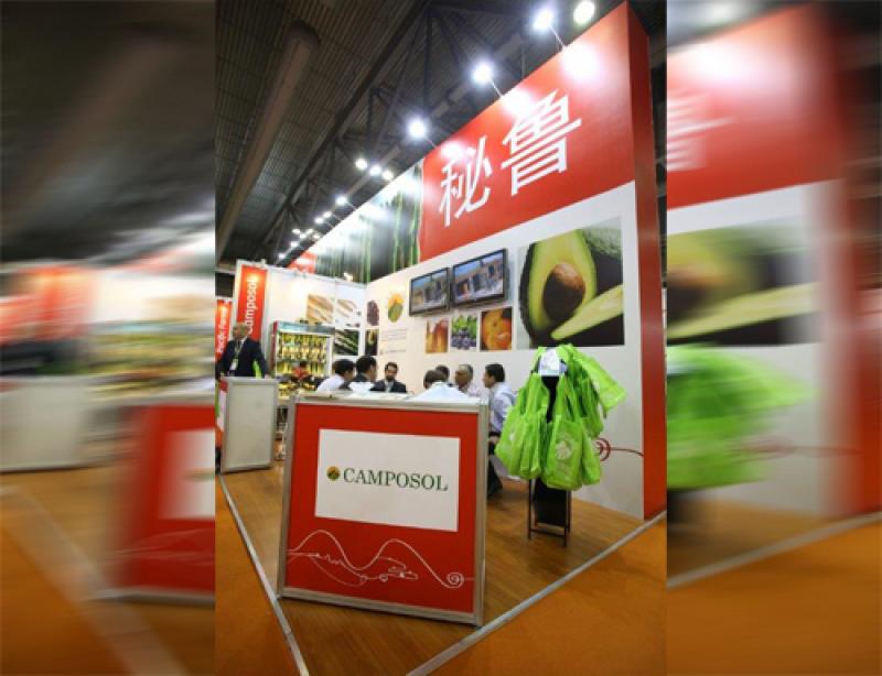 CAMPOSOL EXPORTARÁ 500 CONTENEDORES DE UVA DE MESA EN CAMPAÑA 2013-2014