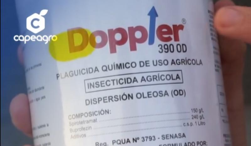 CAPEAGRO: Manejo responsable de plaguicidas para proteger agricultores y cultivos