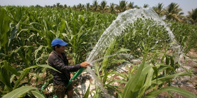 Casi 7 mil agricultores desarrollarán estrategia para evitar deforestación en 144 mil hectáreas