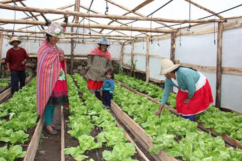 Ceplan plantea trabajo desde los gobiernos locales por la seguridad alimentaria