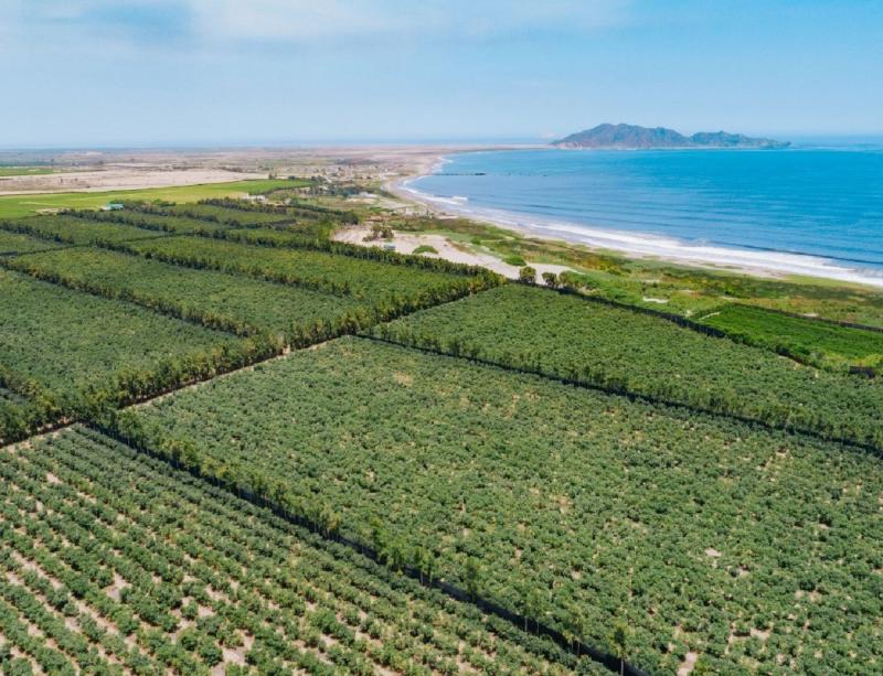 Chavimochic: Perú y Canadá firmarán hoy el contrato para culminar presa Palo Redondo