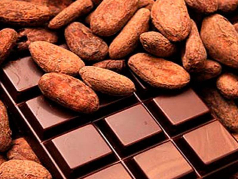 Chocolatería artesanal argentina importará cacao peruano para exportar tabletas a la India