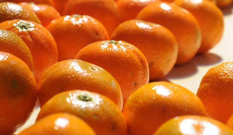 Cítricos peruanos ahora disponibles de productores ecológicos