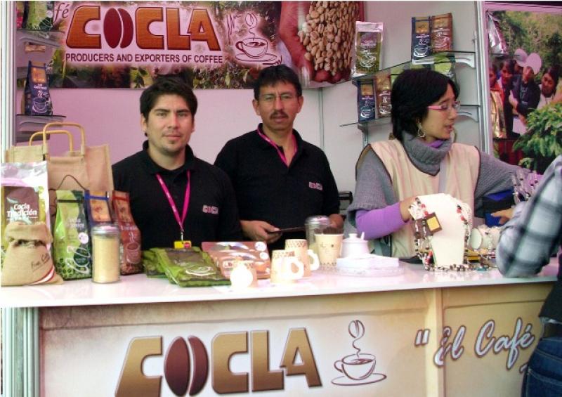 COCLA ESTIMA EXPORTAR ENTRE 25 Y 30 CONTENEDORES DE CAFÉ EN 2012