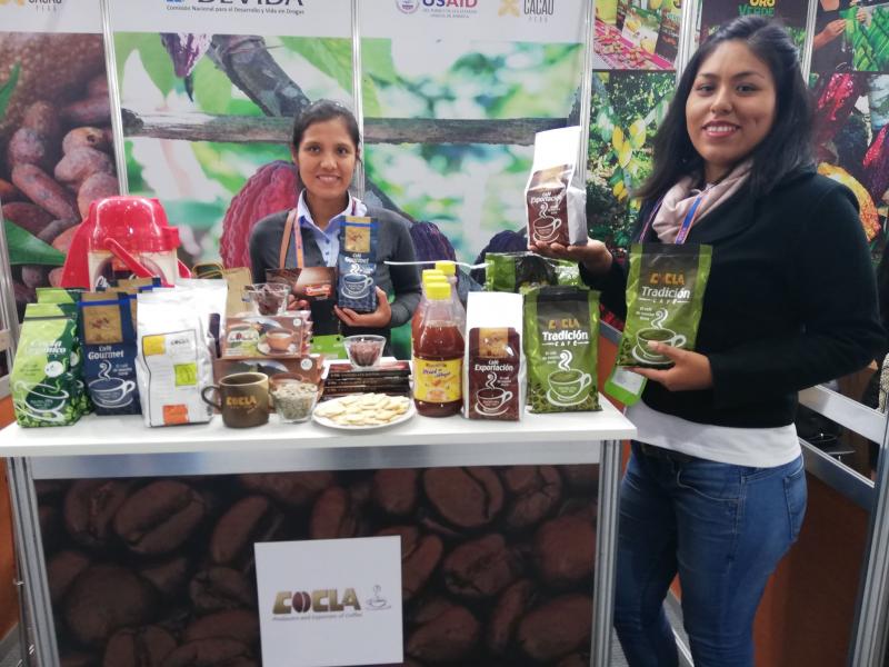 Cocla exportaría 60 mil quintales de café al cierre del año