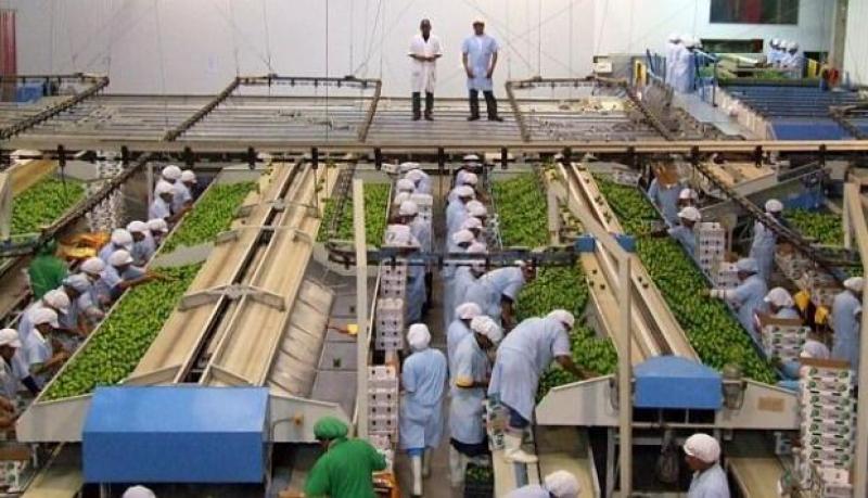Comisión Agraria del Congreso formará mesa técnica para debatir proyectos sobre cambio de Ley de Promoción Agraria