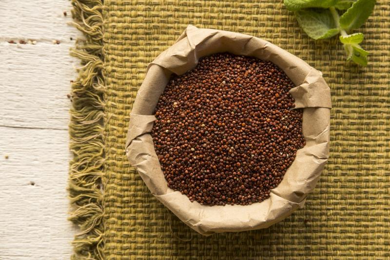 Compradores internacionales llegan a Cusco interesados en oferta de granos andinos