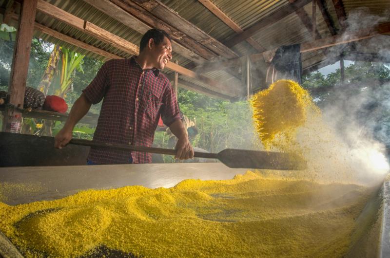 Comunidad ticuna lanzará fariña “Amarillita” al mercado nacional durante la Expoamazónica 2019