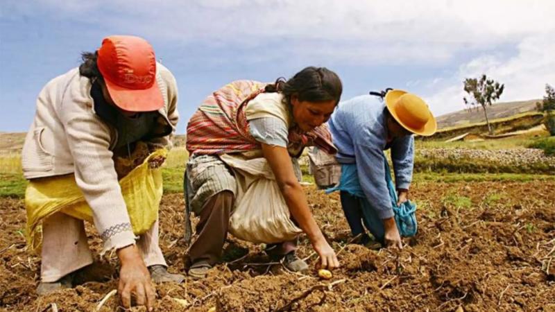 Conflicto en el Estrecho de Ormuz puede afectar a la agricultura peruana
