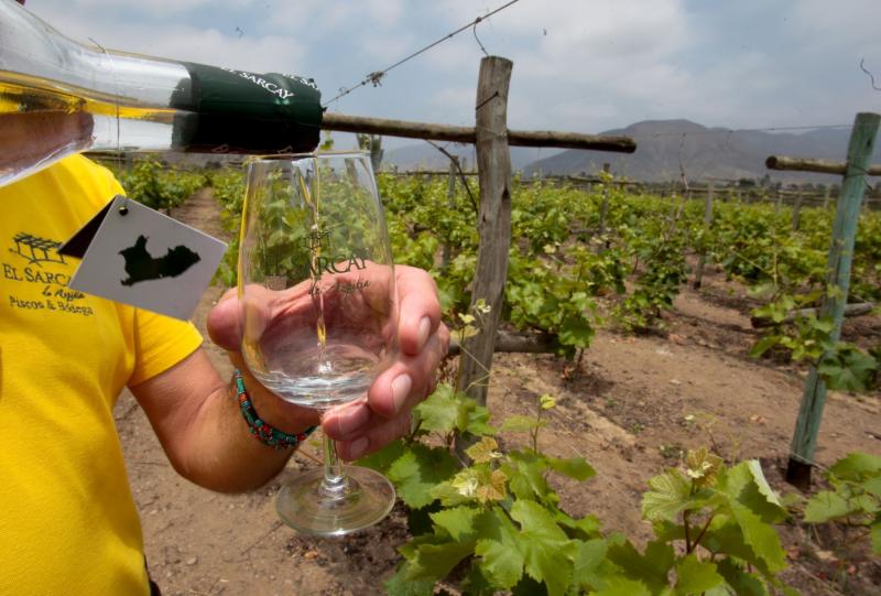 Conoce las razones por las que 70 países reconocen el origen peruano del pisco