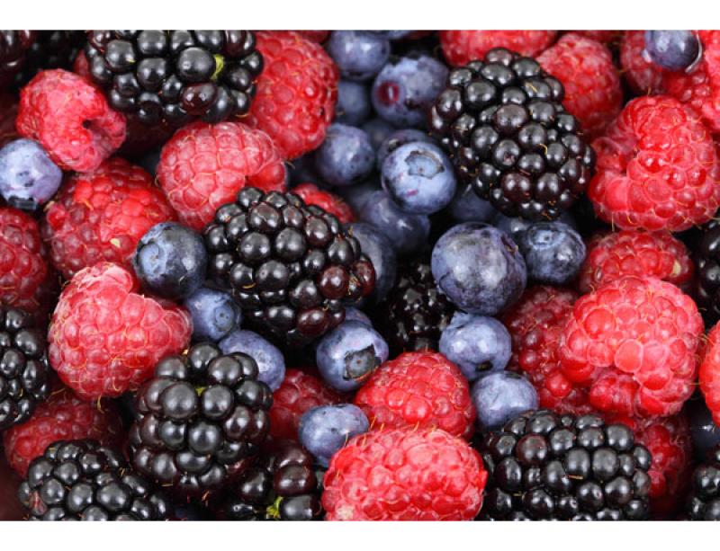 CONSUMO DE FRAMBUESAS, ARÁNDANOS Y MORAS FRESCAS EN EUROPA CRECERÍA AL MENOS 7% ANUAL EN PRÓXIMOS CINCO AÑOS