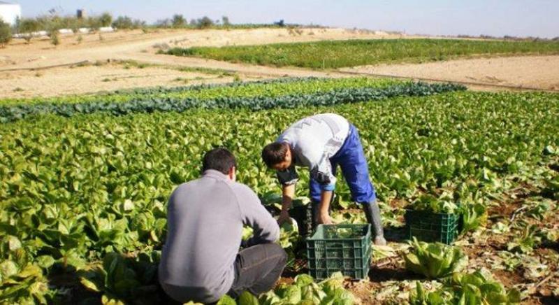 Conveagro: Prórroga de Ley de Promoción Agraria excluye a la pequeña agricultura y no fomenta la asociatividad en el campo