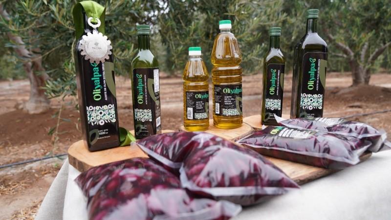 Cooperativa tacneña se convierte en referente internacional del aceite de oliva