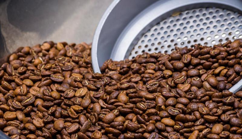 Cooperativas participan con el 32% de exportaciones de café entre enero y junio de este año