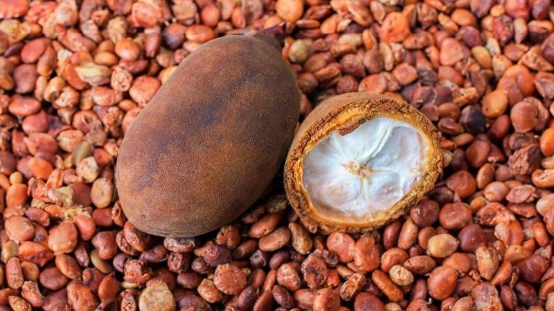 Copoazú, el primo del cacao por explotar