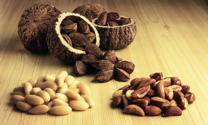Corea del Sur se convirtió en la nueva ‘Meca’ Para la exportación peruana de nueces de Brasil