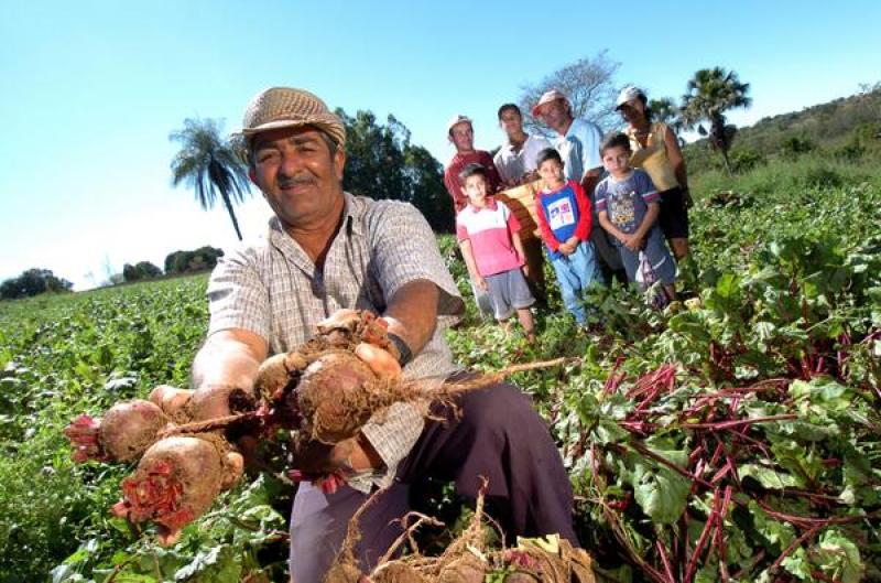 Costa Rica presentará iniciativa ante la ONU para declarar un Decenio de la Agricultura Familiar