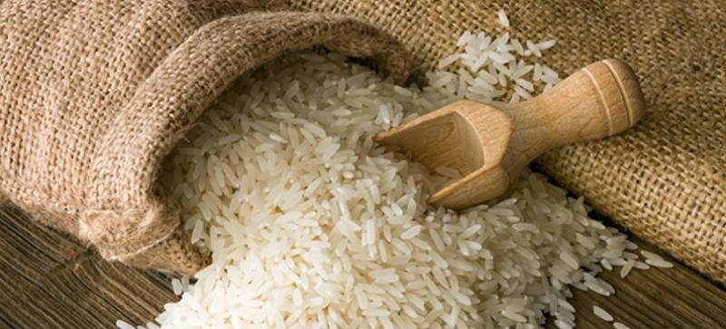 Costeño Alimentos ampliará distribución en la costa norte