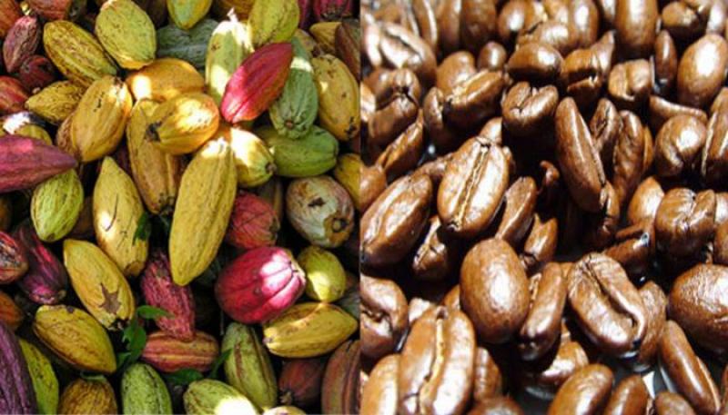 CPC realizará la XXI Convención Nacional del Café y Cacao y el I Concurso de Cafeterías de Lima