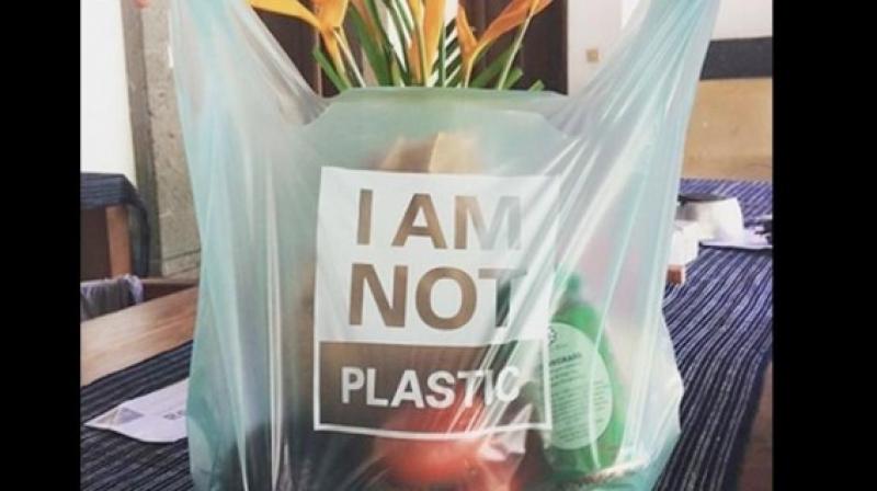 Crean bolsa 100 por ciento biodegradable hecha con plantas