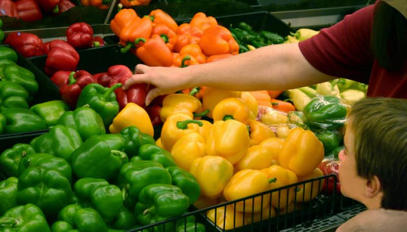 Crecen los principales mercados de la exportación hortofrutícola española