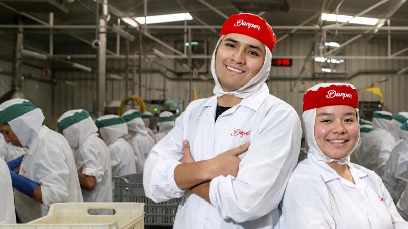 Danper obtiene préstamo de US$ 17.5 millones para financiar inversión agrícola e industrial