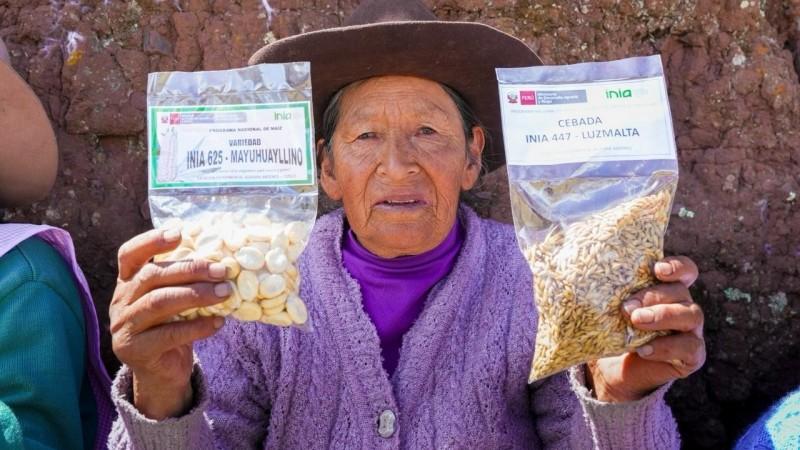 Desarrollan nueva variedad de maíz amiláceo y cebada para aumentar productividad de Cusco