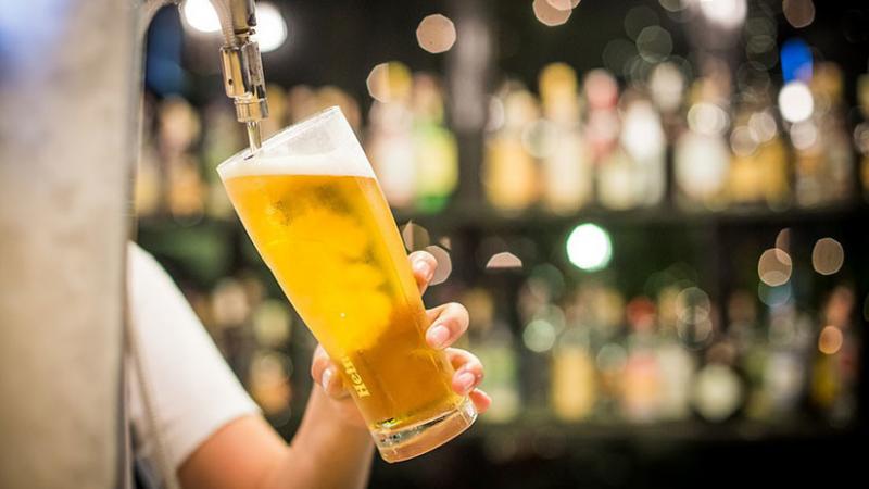 Descubren que la cerveza puede ser medicina