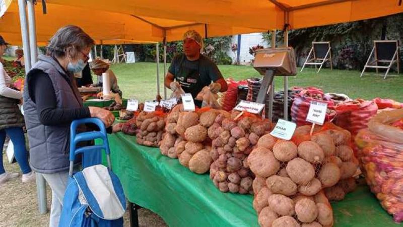 Desde abril hasta la fecha se han ejecutado a nivel nacional 611 mercados itinerantes “De la Chacra a la Olla”, beneficiando a 15.609 productores