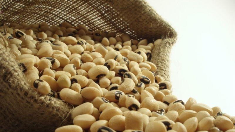 Despachos al exterior de frejol castilla peruano crecieron 50% entre enero y mayo