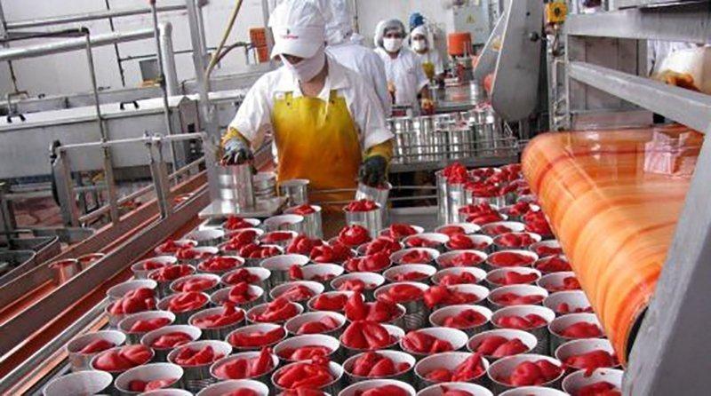 Despachos de pimiento piquillo en conserva superan los US$ 21 millones hasta abril