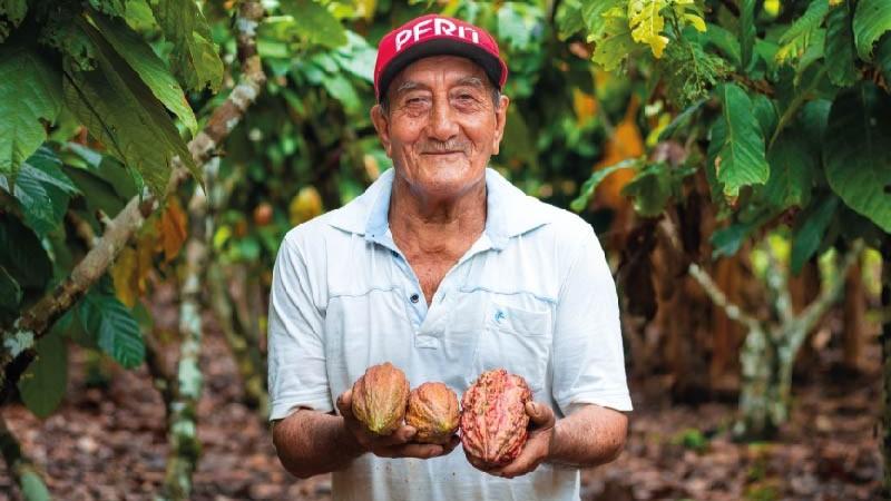 Devida brindó asistencia técnica y comercial a 88 organizaciones cacaoteras en 2025