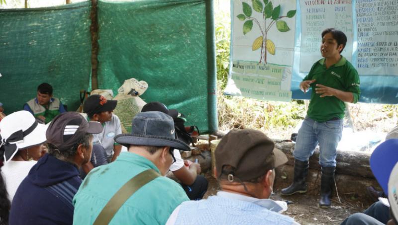 Devida inicia escuela de campo dirigida a cacaoteros de Puno, Cusco y Madre de Dios