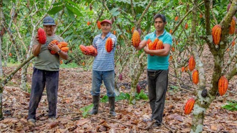 Devida: Programa de Desarrollo Alternativo brindó asistencia a 69.144 familias