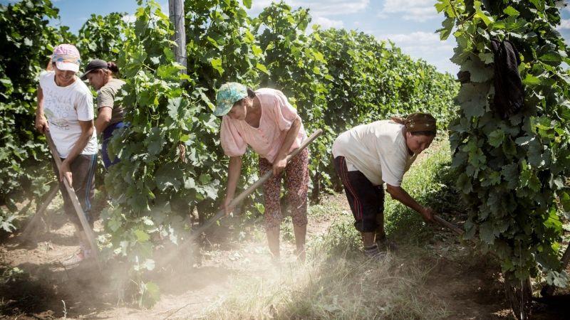 Día Internacional de las Mujeres Rurales: más de 3 millones de peruanas viven en zonas rurales