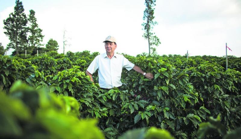 Director de Agronomía de Starbucks: “Perú tiene un gran potencial en sus zonas cafetaleras”