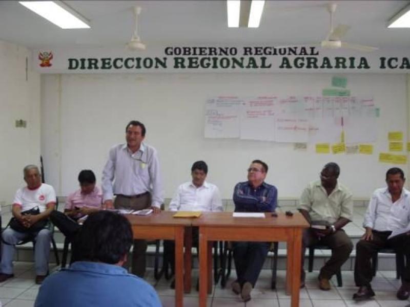 DRA ICA DICTARÁ CURSO SOBRE BUENAS PRÁCTICAS DE MANUFACTURA POSTCOSECHA 