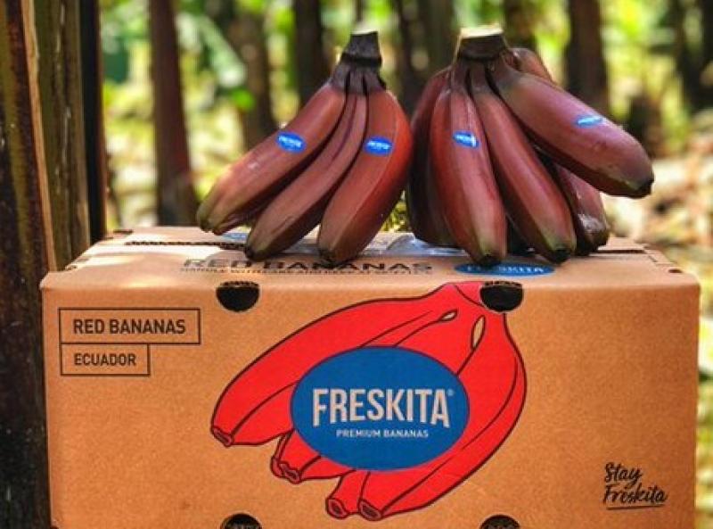 Ecuador envía bananas rojas al mercado europeo