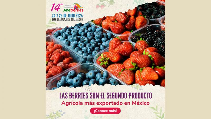 El 14º Congreso Internacional Aneberries ya “ultima los preparativos” para ser un nuevo referente mundial