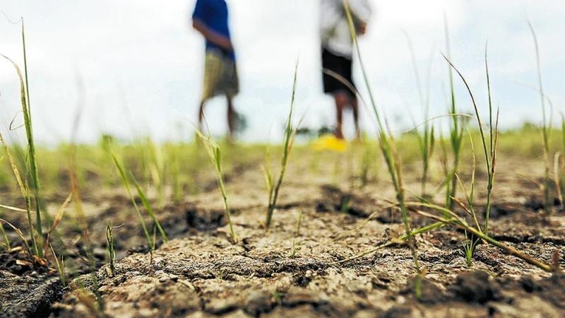 “El agro debe prepararse con anticipación para enfrentar los efectos del Niño Costero”
